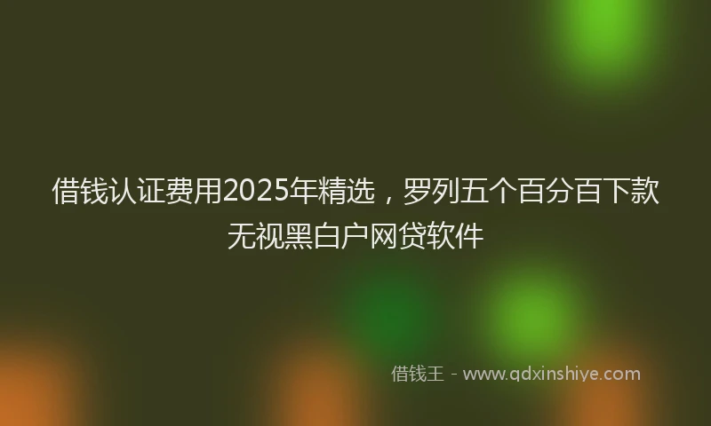 借钱认证费用2025年精选，罗列五个百分百下款无视黑白户网贷软件