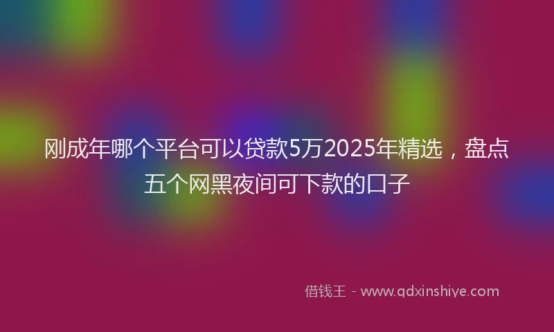 刚成年哪个平台可以贷款5万2025年精选，盘点五个网黑夜间可下款的口子