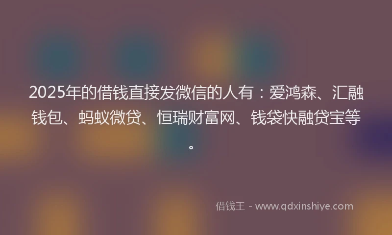 2025年的借钱直接发微信的人有：爱鸿森、汇融钱包、蚂蚁微贷、恒瑞财富网、钱袋快融贷宝等。