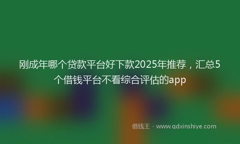刚成年哪个贷款平台好下款2025年推荐，汇总5个借钱平台不看综合评估的app