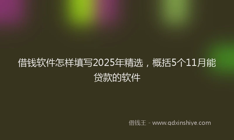 借钱软件怎样填写2025年精选，概括5个11月能贷款的软件