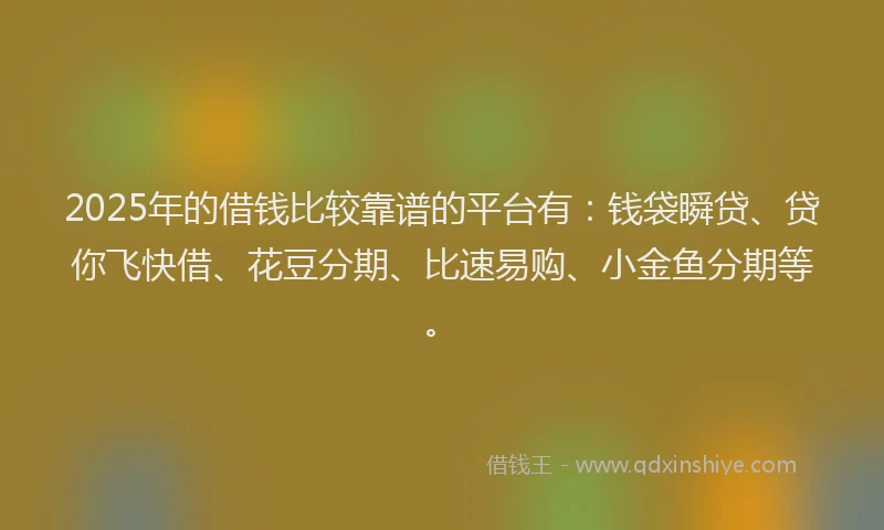 2025年的借钱比较靠谱的平台有：钱袋瞬贷、贷你飞快借、花豆分期、比速易购、小金鱼分期等。