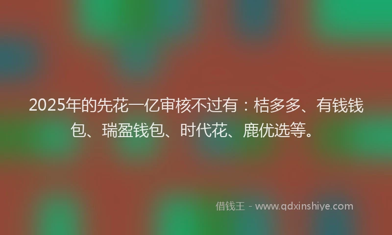 2025年的先花一亿审核不过有：桔多多、有钱钱包、瑞盈钱包、时代花、鹿优选等。
