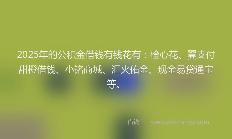 2025年的公积金借钱有钱花有：橙心花、翼支付甜橙借钱、小铭商城、汇火佑金、现金易贷通宝等。