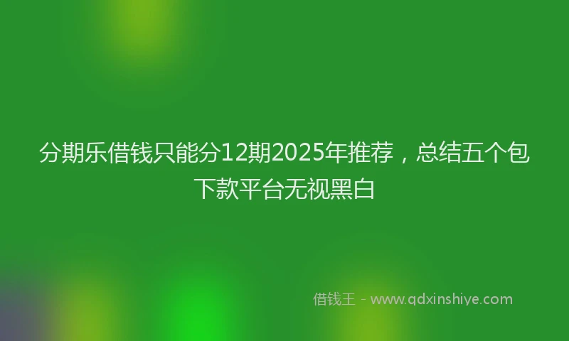 分期乐借钱只能分12期2025年推荐，总结五个包下款平台无视黑白