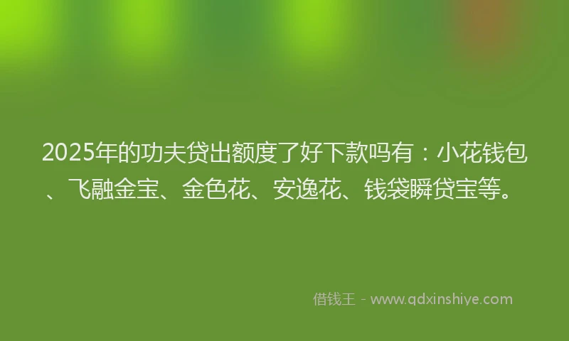 2025年的功夫贷出额度了好下款吗有：小花钱包、飞融金宝、金色花、安逸花、钱袋瞬贷宝等。