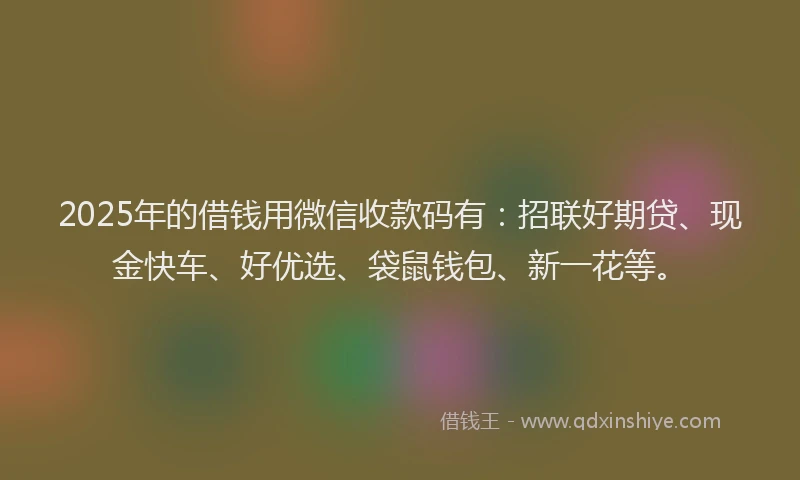 2025年的借钱用微信收款码有：招联好期贷、现金快车、好优选、袋鼠钱包、新一花等。