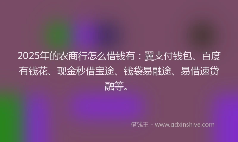 2025年的农商行怎么借钱有：翼支付钱包、百度有钱花、现金秒借宝途、钱袋易融途、易借速贷融等。