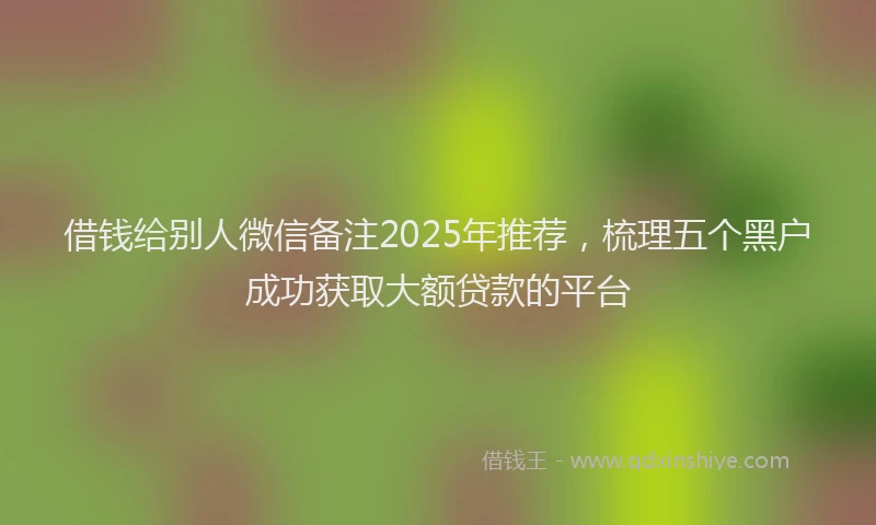 借钱给别人微信备注2025年推荐，梳理五个黑户成功获取大额贷款的平台