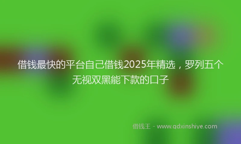 借钱最快的平台自己借钱2025年精选，罗列五个无视双黑能下款的口子