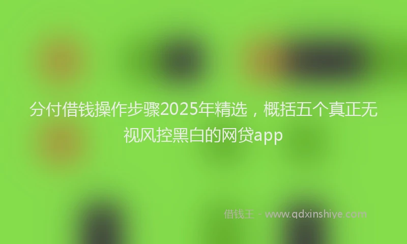 分付借钱操作步骤2025年精选，概括五个真正无视风控黑白的网贷app