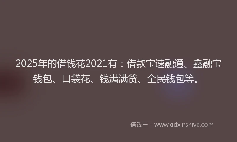 2025年的借钱花2021有：借款宝速融通、鑫融宝钱包、口袋花、钱满满贷、全民钱包等。