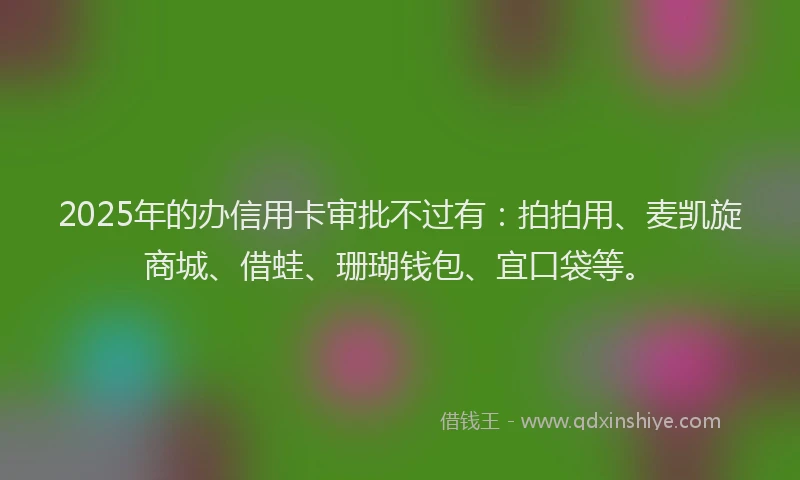 2025年的办信用卡审批不过有：拍拍用、麦凯旋商城、借蛙、珊瑚钱包、宜口袋等。