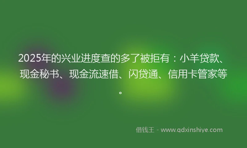 2025年的兴业进度查的多了被拒有：小羊贷款、现金秘书、现金流速借、闪贷通、信用卡管家等。