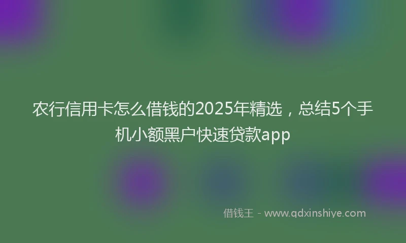 农行信用卡怎么借钱的2025年精选，总结5个手机小额黑户快速贷款app