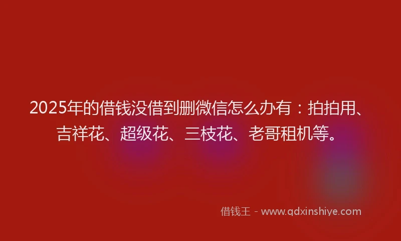 2025年的借钱没借到删微信怎么办有：拍拍用、吉祥花、超级花、三枝花、老哥租机等。