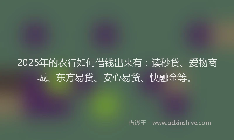 2025年的农行如何借钱出来有：读秒贷、爱物商城、东方易贷、安心易贷、快融金等。