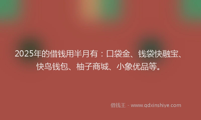 2025年的借钱用半月有：口袋金、钱袋快融宝、快鸟钱包、柚子商城、小象优品等。