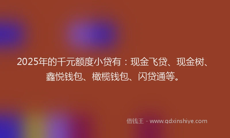 2025年的千元额度小贷有：现金飞贷、现金树、鑫悦钱包、橄榄钱包、闪贷通等。