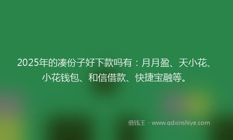2025年的凑份子好下款吗有：月月盈、天小花、小花钱包、和信借款、快捷宝融等。