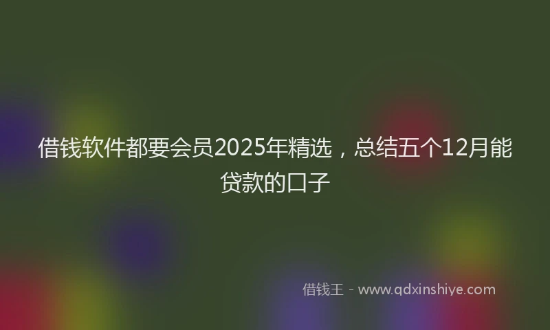 借钱软件都要会员2025年精选，总结五个12月能贷款的口子