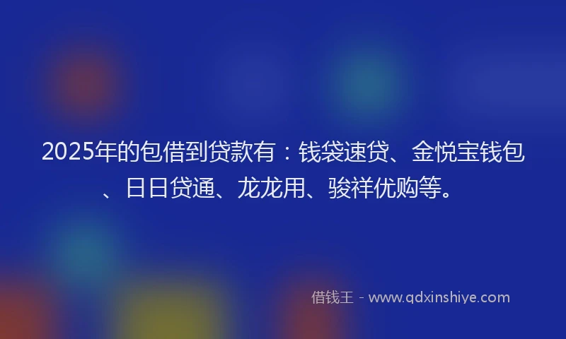 2025年的包借到贷款有：钱袋速贷、金悦宝钱包、日日贷通、龙龙用、骏祥优购等。