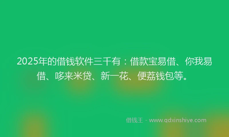2025年的借钱软件三千有：借款宝易借、你我易借、哆来米贷、新一花、便荔钱包等。