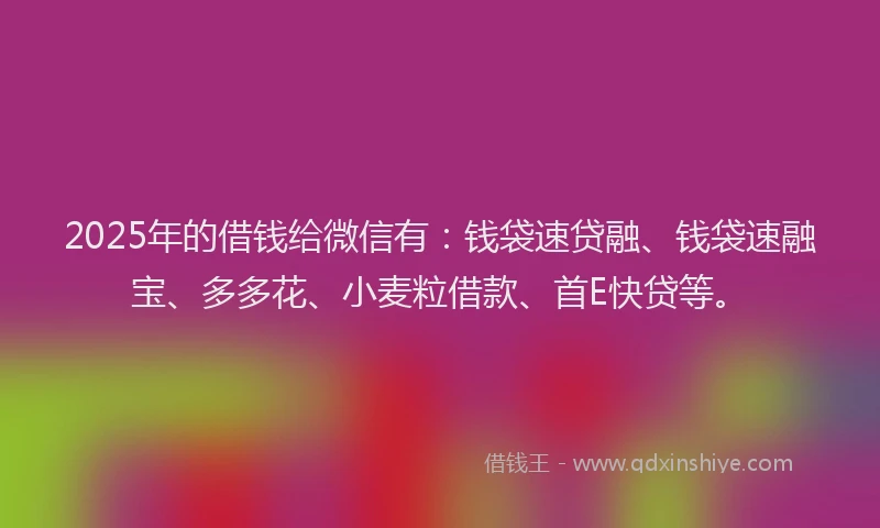 2025年的借钱给微信有：钱袋速贷融、钱袋速融宝、多多花、小麦粒借款、首E快贷等。
