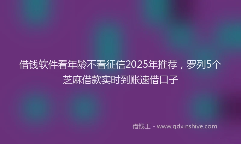 借钱软件看年龄不看征信2025年推荐，罗列5个芝麻借款实时到账速借口子