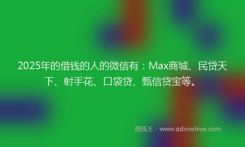 2025年的借钱的人的微信有：Max商城、民贷天下、射手花、口袋贷、甄信贷宝等。