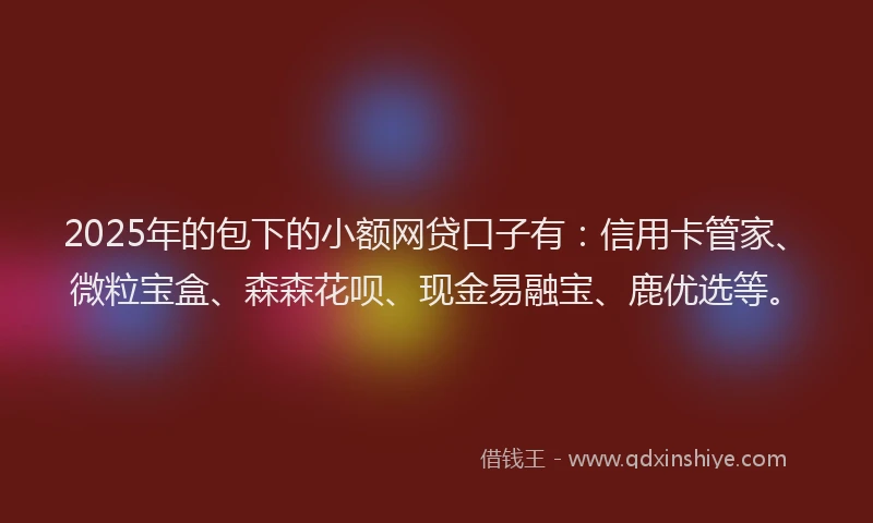 2025年的包下的小额网贷口子有：信用卡管家、微粒宝盒、森森花呗、现金易融宝、鹿优选等。