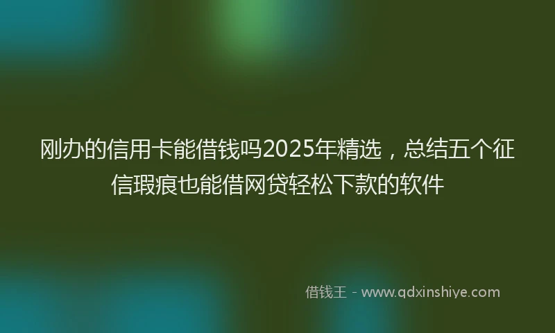 刚办的信用卡能借钱吗2025年精选，总结五个征信瑕疵也能借网贷轻松下款的软件
