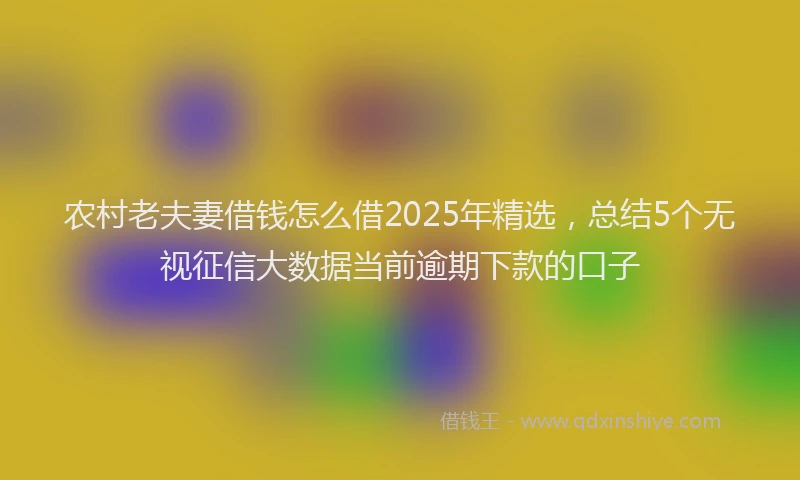农村老夫妻借钱怎么借2025年精选，总结5个无视征信大数据当前逾期下款的口子