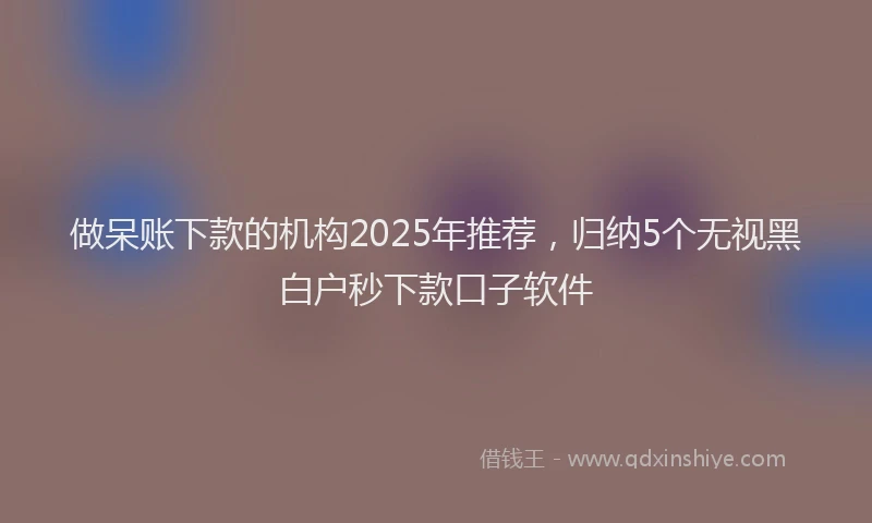 做呆账下款的机构2025年推荐，归纳5个无视黑白户秒下款口子软件