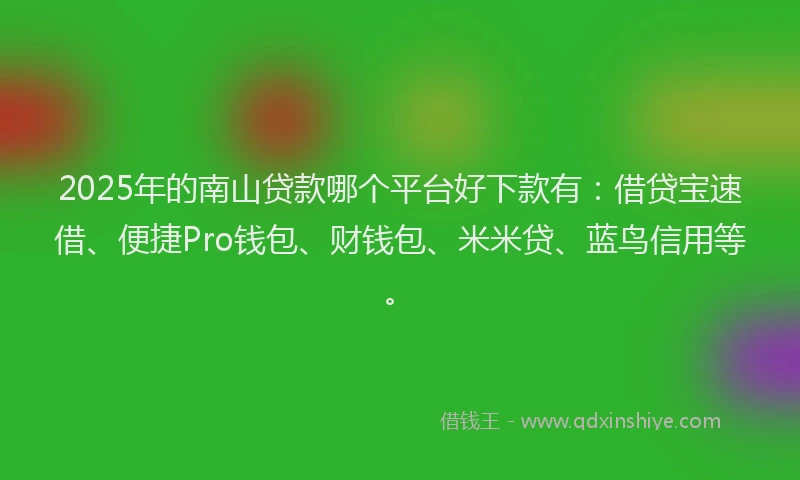 2025年的南山贷款哪个平台好下款有：借贷宝速借、便捷Pro钱包、财钱包、米米贷、蓝鸟信用等。