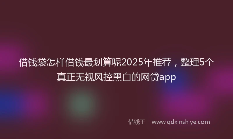 借钱袋怎样借钱最划算呢2025年推荐，整理5个真正无视风控黑白的网贷app
