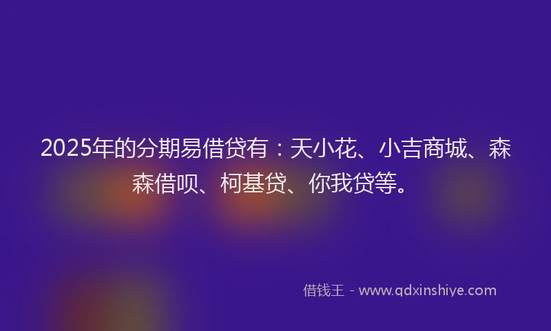 2025年的分期易借贷有：天小花、小吉商城、森森借呗、柯基贷、你我贷等。