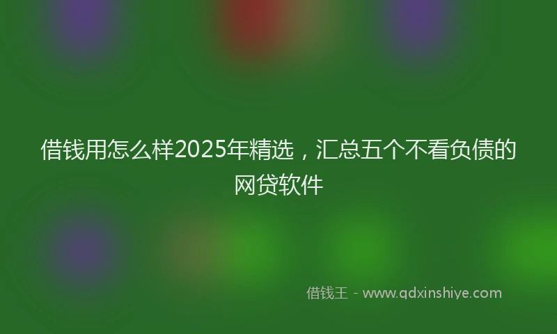 借钱用怎么样2025年精选，汇总五个不看负债的网贷软件