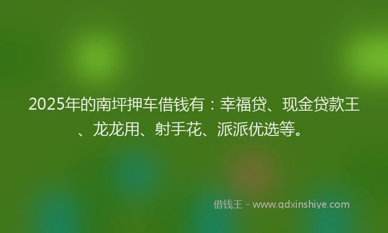 2025年的南坪押车借钱有：幸福贷、现金贷款王、龙龙用、射手花、派派优选等。