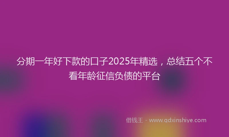 分期一年好下款的口子2025年精选，总结五个不看年龄征信负债的平台