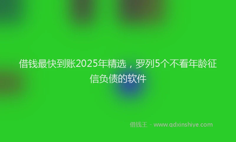 借钱最快到账2025年精选，罗列5个不看年龄征信负债的软件