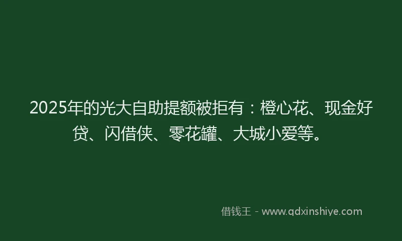 2025年的光大自助提额被拒有：橙心花、现金好贷、闪借侠、零花罐、大城小爱等。