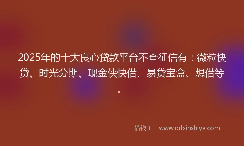 2025年的十大良心贷款平台不查征信有：微粒快贷、时光分期、现金侠快借、易贷宝盒、想借等。