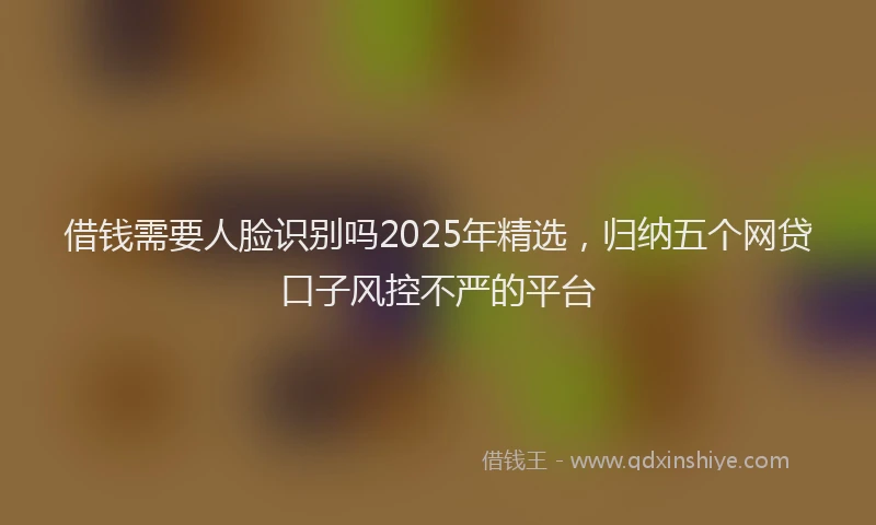 借钱需要人脸识别吗2025年精选，归纳五个网贷口子风控不严的平台