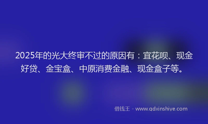2025年的光大终审不过的原因有：宜花呗、现金好贷、金宝盒、中原消费金融、现金盒子等。