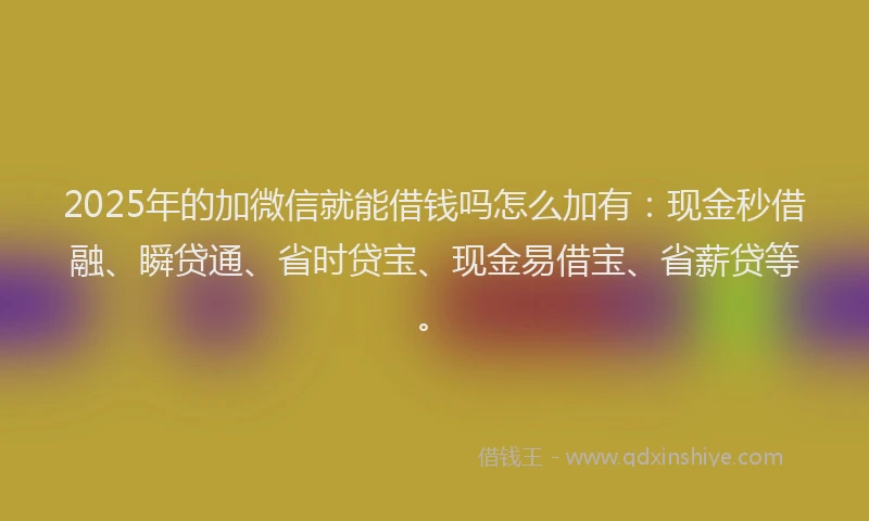 2025年的加微信就能借钱吗怎么加有：现金秒借融、瞬贷通、省时贷宝、现金易借宝、省薪贷等。