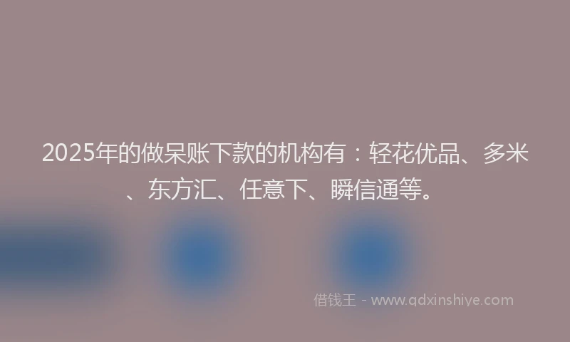 2025年的做呆账下款的机构有：轻花优品、多米、东方汇、任意下、瞬信通等。