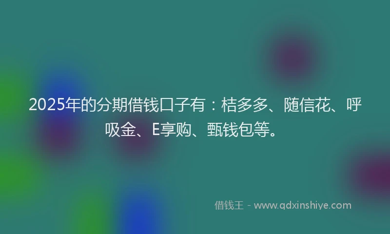2025年的分期借钱口子有：桔多多、随信花、呼吸金、E享购、甄钱包等。