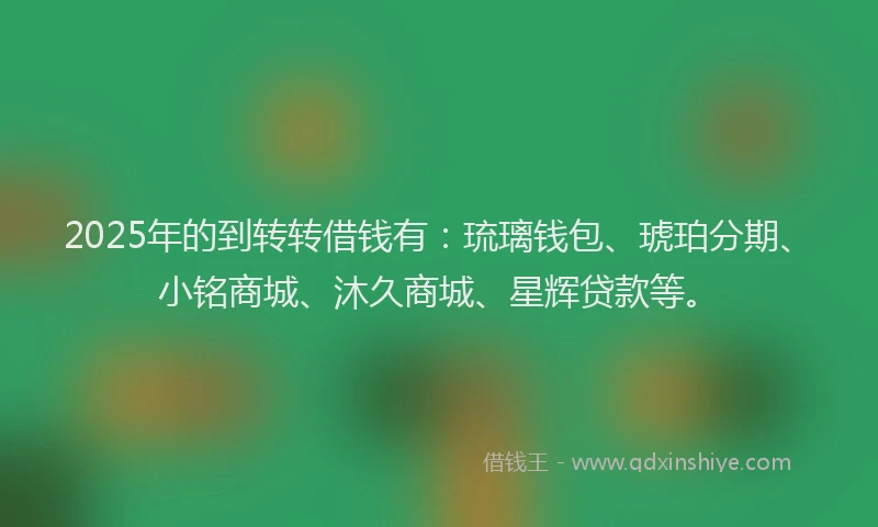 2025年的到转转借钱有：琉璃钱包、琥珀分期、小铭商城、沐久商城、星辉贷款等。