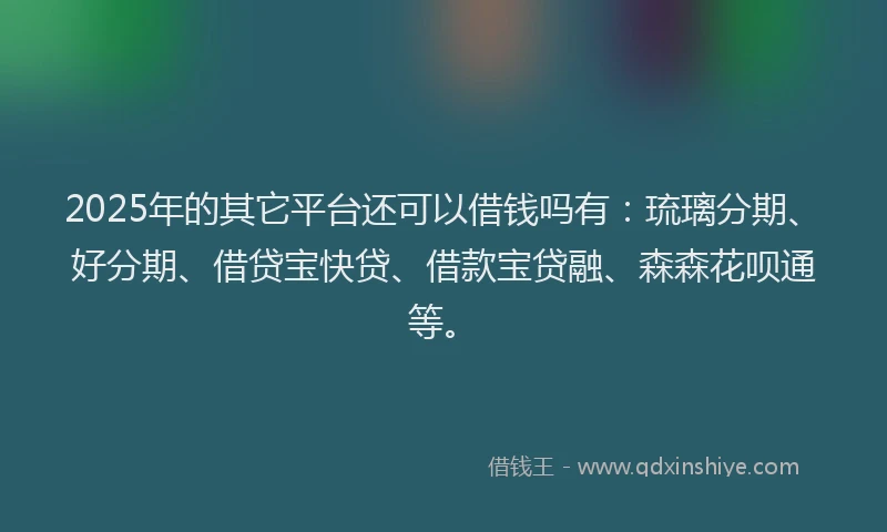 2025年的其它平台还可以借钱吗有：琉璃分期、好分期、借贷宝快贷、借款宝贷融、森森花呗通等。
